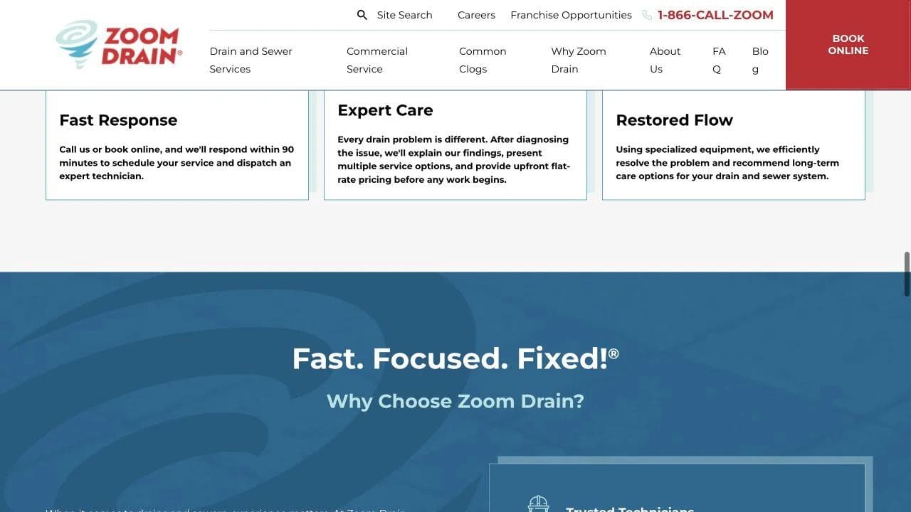 Zoom Drain response, diagnostic, pricing, and restored-flow promises